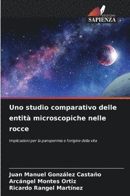 bokomslag Uno studio comparativo delle entità microscopiche nelle rocce