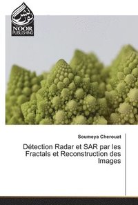bokomslag Detection Radar et SAR par les Fractals et Reconstruction des Images