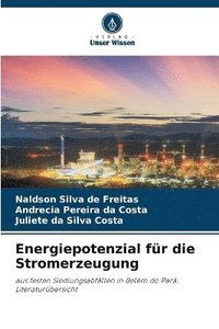 bokomslag Energiepotenzial für die Stromerzeugung
