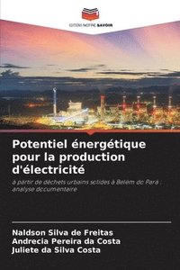 bokomslag Potentiel énergétique pour la production d'électricité