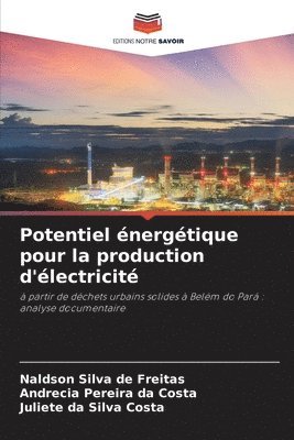 Potentiel énergétique pour la production d'électricité