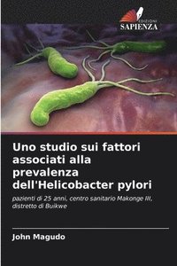 bokomslag Uno studio sui fattori associati alla prevalenza dell'Helicobacter pylori