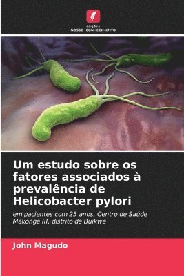 John Magudo - Um estudo sobre os fatores associados à prevalência de Helicobacter pylori, Häftad