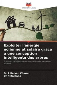 bokomslag Exploiter l'énergie éolienne et solaire grâce à une conception intelligente des arbres