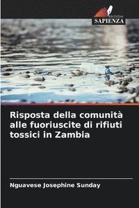 bokomslag Risposta della comunità alle fuoriuscite di rifiuti tossici in Zambia