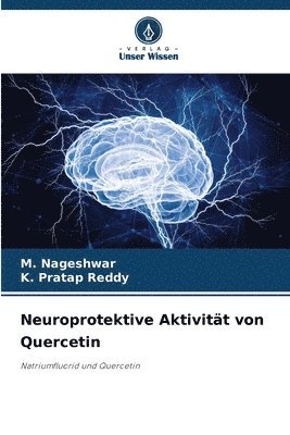 bokomslag Neuroprotektive Aktivität von Quercetin