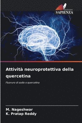 M Nageshwar, K Pratap Reddy, M. Nageshwar, K. Pratap Reddy - Attività neuroprotettiva della quercetina, Häftad