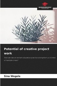 bokomslag Potential of creative project work
