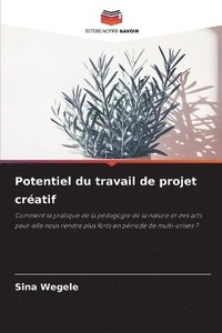 bokomslag Potentiel du travail de projet créatif