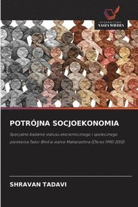 bokomslag Potrójna Socjoekonomia