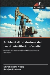 bokomslag Problemi di produzione dei pozzi petroliferi