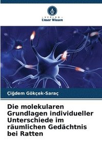 bokomslag molekularen Grundlagen individueller Unterschiede im räumlichen Gedächtnis bei Ratten
