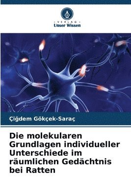 bokomslag molekularen Grundlagen individueller Unterschiede im räumlichen Gedächtnis bei Ratten