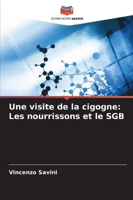 bokomslag Une visite de la cigogne: Les nourrissons et le SGB