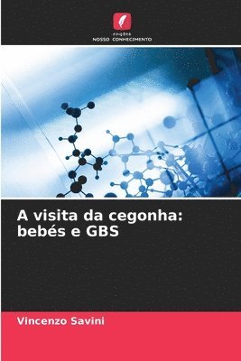 Vincenzo Savini - A visita da cegonha, Häftad