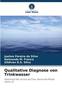 bokomslag Qualitative Diagnose von Trinkwasser