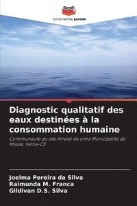 bokomslag Diagnostic qualitatif des eaux destinées à la consommation humaine