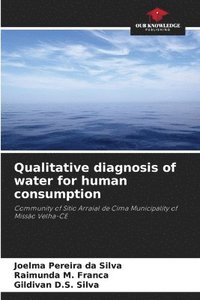 bokomslag Qualitative diagnosis of water for human consumption