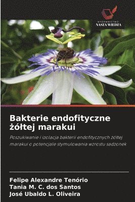 Felipe Alexandre Tenório, Tania M. C. Dos Santos, Tania M. C. dos Santos, José Ubaldo L. Oliveira - Bakterie endofityczne żóltej marakui, Häftad