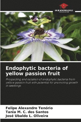 Endophytic bacteria of yellow passion fruit