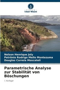 bokomslag Parametrische Analyse zur Stabilität von Böschungen