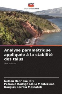 bokomslag Analyse paramétrique appliquée à la stabilité des talus