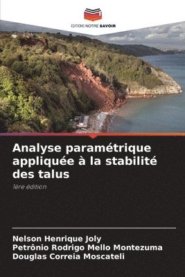 bokomslag Analyse paramétrique appliquée à la stabilité des talus