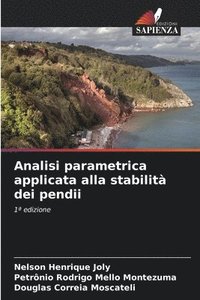 bokomslag Analisi parametrica applicata alla stabilità dei pendii