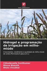 bokomslag Hidrogel e programação de irrigação em milho-miúdo