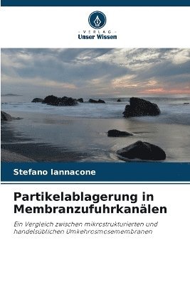 bokomslag Partikelablagerung in Membranzufuhrkanälen