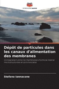 bokomslag Dépôt de particules dans les canaux d'alimentation des membranes