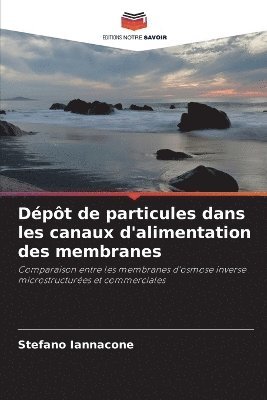 bokomslag Dépôt de particules dans les canaux d'alimentation des membranes