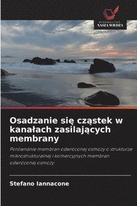 bokomslag Osadzanie si? cz?stek w kanalach zasilaj?cych membrany