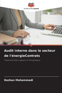 bokomslag Audit interne dans le secteur de l'énergieContrats