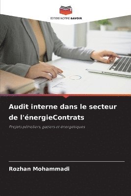 bokomslag Audit interne dans le secteur de l'énergieContrats