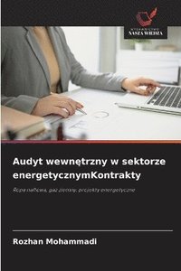 bokomslag Audyt wewn?trzny w sektorze energetycznymKontrakty