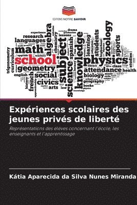 Kátia Aparecida Da Silva Nunes Miranda, Kátia Aparecida da Silva Nunes Miranda - Expériences scolaires des jeunes privés de liberté, Häftad