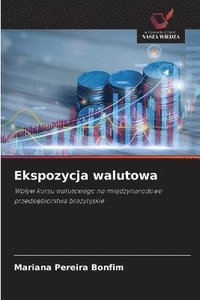 bokomslag Ekspozycja walutowa