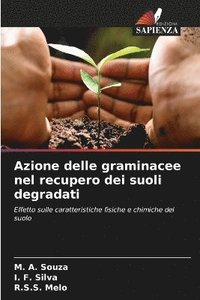 bokomslag Azione delle graminacee nel recupero dei suoli degradati