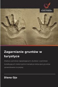 bokomslag Zagarnianie gruntów w turystyce