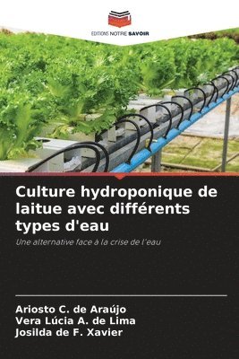 Culture hydroponique de laitue avec différents types d'eau