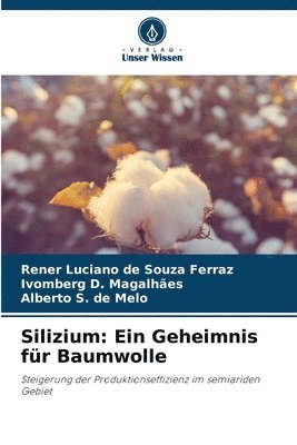 Rener Luciano de Souza Ferraz, Ivomberg D. Magalhães, Alberto S. de Melo - Silizium: Ein Geheimnis für Baumwolle, Häftad
