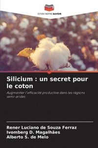 bokomslag Silicium