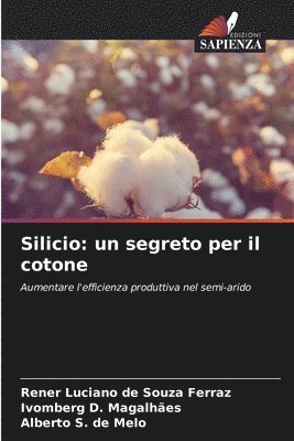 bokomslag Silicio