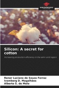 bokomslag Silicon