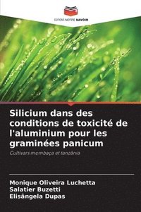 bokomslag Silicium dans des conditions de toxicité de l'aluminium pour les graminées panicum