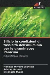bokomslag Silicio in condizioni di tossicità dell'alluminio per le graminacee Panicum