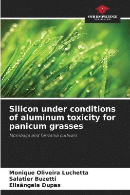 bokomslag Silicon under conditions of aluminum toxicity for panicum grasses