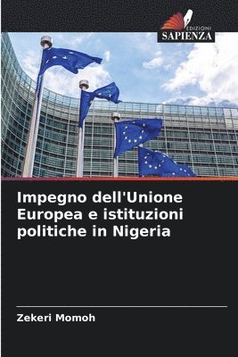 Impegno dell'Unione Europea e istituzioni politiche in Nigeria