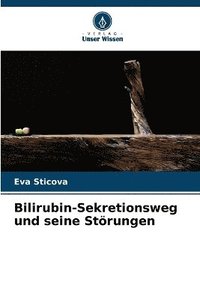 bokomslag Bilirubin-Sekretionsweg und seine Störungen